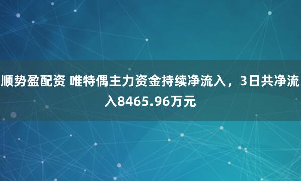 顺势盈配资 唯特偶主力资金持续净流入，3日共净流入8465.96万元