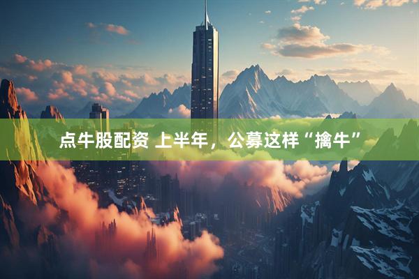 点牛股配资 上半年，公募这样“擒牛”
