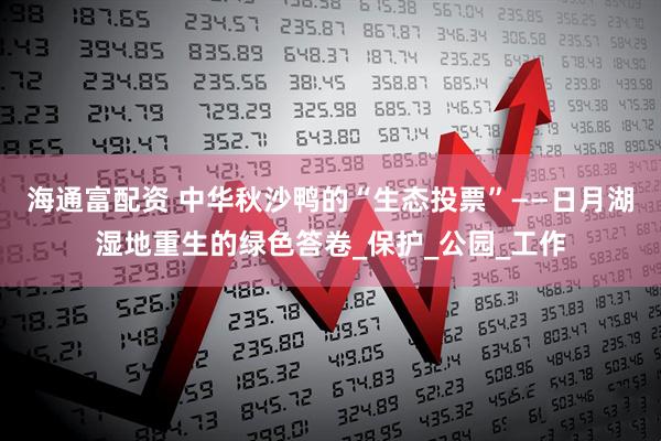 海通富配资 中华秋沙鸭的“生态投票”——日月湖湿地重生的绿色答卷_保护_公园_工作