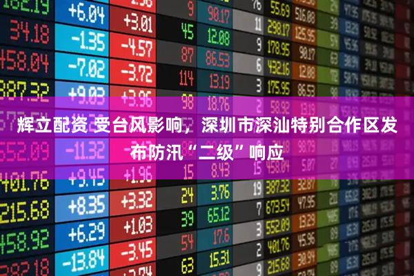 辉立配资 受台风影响，深圳市深汕特别合作区发布防汛“二级”响应