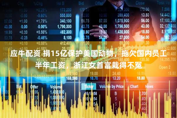 应牛配资 捐15亿保护美国动物，拖欠国内员工半年工资，浙江女首富栽得不冤