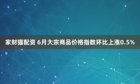 家财猫配资 6月大宗商品价格指数环比上涨0.5%