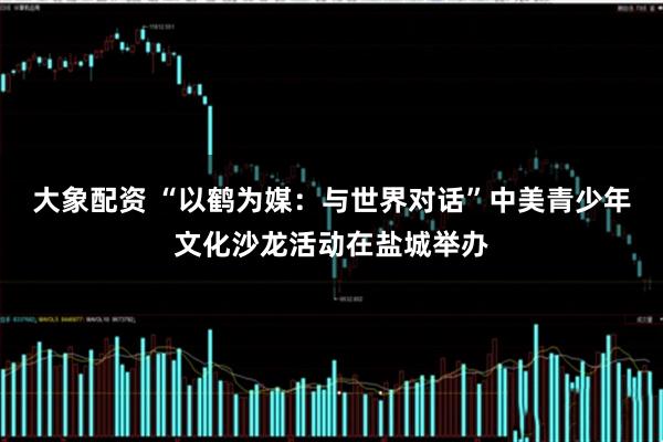 大象配资 “以鹤为媒:与世界对话”中美青少年文化沙龙活动在盐城举办